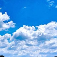 ハルミックス (@vcsok4kw3hhcpji) 's Twitter Profile
