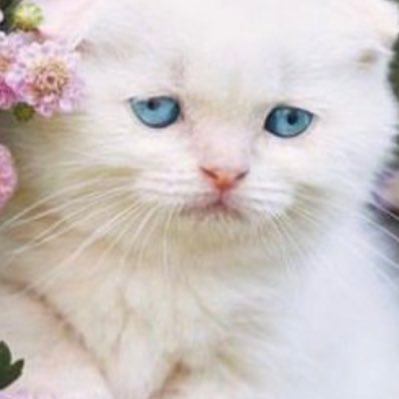 greatpolina9's profile picture. 