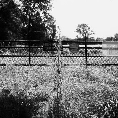 G17NFTgallery's profile picture. Unique french black and white