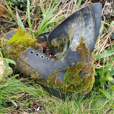 Cayetano4876's profile picture. Cantabro,español,monarquico ,constitucionalista gay y de VOX💚