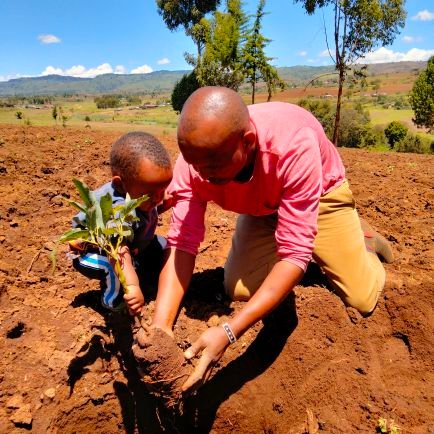 Founder & director at Program for the heritage of Ogiek and mother Earth (ProHOME)/

OHCHR Indigenous fellow 2013,Geneva
,ISP Fellow, Columbia University,2016.