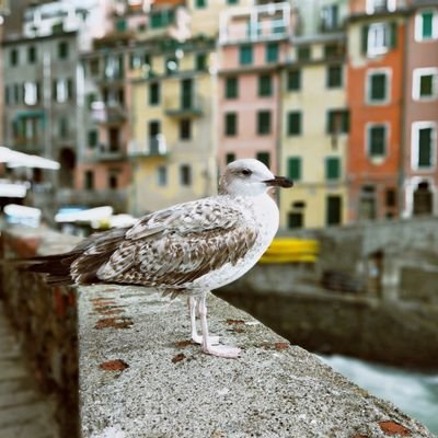 MenyesalJangan's profile picture. Hajar terus
Nitrograph