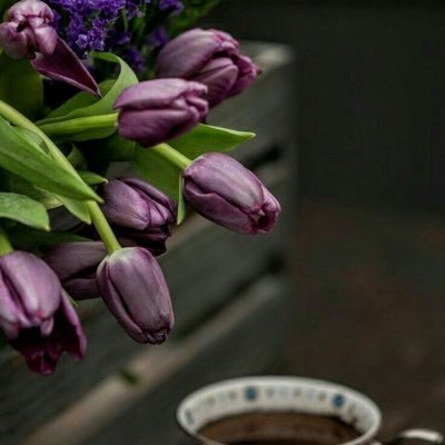 Sean14560478's profile picture. I don't want to survive ,I want to live