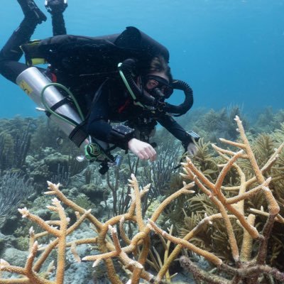 2023 Knauss Fellow in @NOAACoral
@VossLaboratory, @HarborBranch, @NSF GRFP Alum
Lover of coral popgen, mesophotic reef ecology, marine policy, & diving