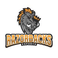 Razorbacks Esports (@razorbackse) 's Twitter Profile