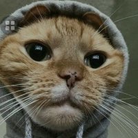 minhnguyet(3) (@nguyetm_) 's Twitter Profile