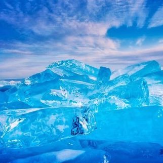 Thor_dbd's profile picture. DBD最高！