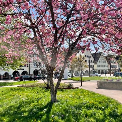 GreenEyedSwing's profile picture. 🌲🌲🌲🏌🏻‍♀️⛳️🐈‍⬛🐕🎨🏔️🌊🏕️🇩🇪🇦🇹🇫🇷