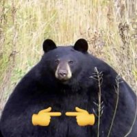 BearWizard (@bearwiz4rd) 's Twitter Profile