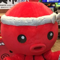 たこはち (@takoroku66) 's Twitter Profile