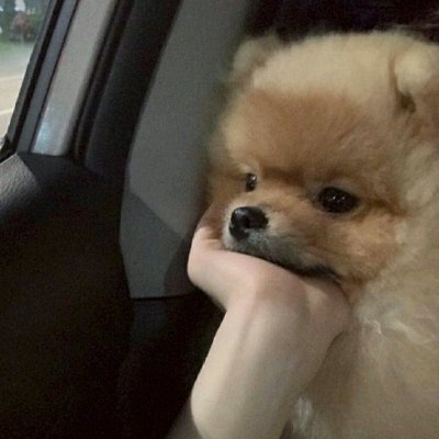 spicegirl_he's profile picture. @he__tero 마라계...는 무슨 그냥 욕망전시계
맞팔해주신 분들에 대한 팔로거절은 실수입니다..