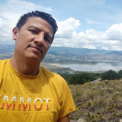 Ingeniero De Sistemas. Profesional en TI