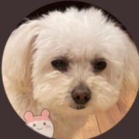 uni (@uni_version2) 's Twitter Profile