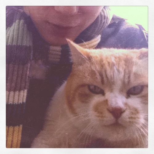 sumu Profile Picture