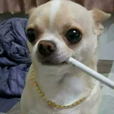 freedemocracy4's profile picture. 