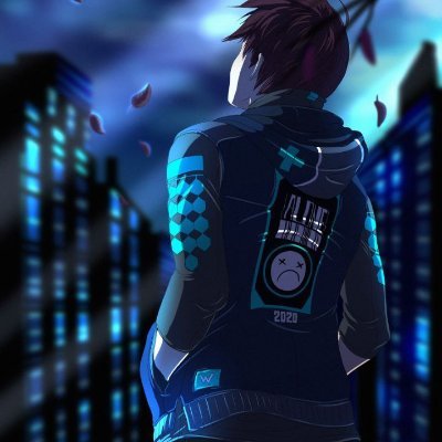 Gamer, Anime lover