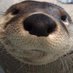 eu mesmo (@_ephoke) Twitter profile photo eu mesmo (@_ephoke) Twitter profile photo