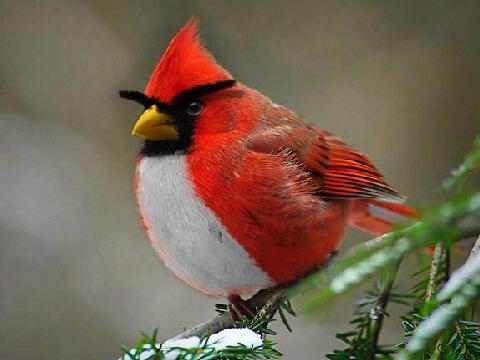 NatiOnline's profile picture. 