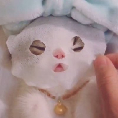 รีทุกอย่างที่ชอบ