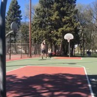 Kale Glynn (@farm_lift) 's Twitter Profile
