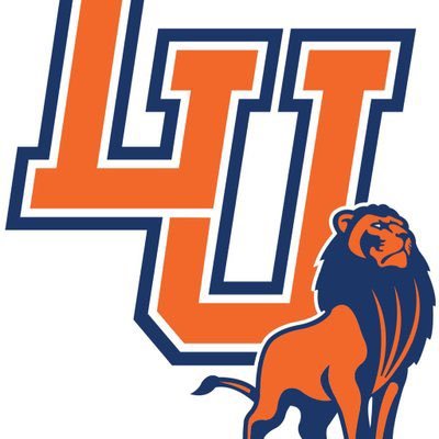 LangstonLionMBB Profile Picture