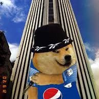doge_steel's profile picture. 