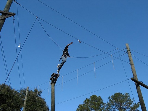 avilesarbelo's profile picture. 