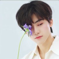 ☾*:・゚ (@ofpolarlights) 's Twitter Profile