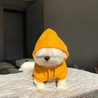 babakern8 (@babakern8) 's Twitter Profile