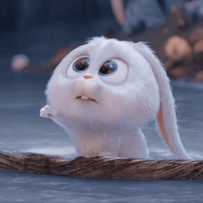 ♡  __ ʬʬʬ