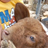 neolacaksimdiya (@neolacaksimdiya) Twitter profile photo