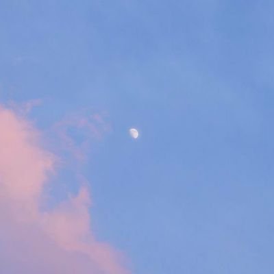 llarasseyo's profile picture. 김선호 💚 이제훈 💙
Seonhohada 💚 Hoonist 💙 = Seonhoonist ♡