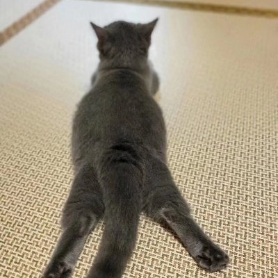 byperezv6's profile picture. Makena|| 9/1/18 || T x3