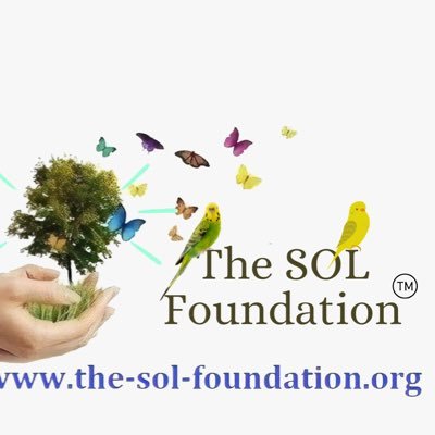 The SOL Foundation™️ is 501(c)3 tax exempt organization & is committed to Plant Trees | Honor a Life | Give Hope | End Hunger. #SOLFoundation