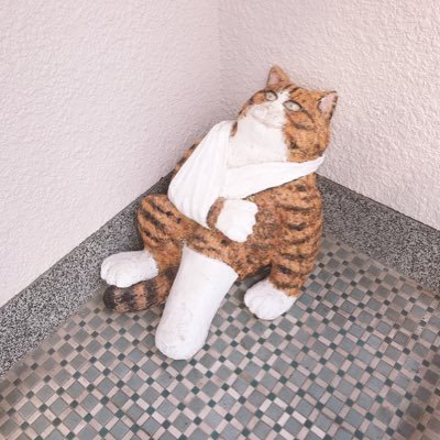 もまさんのプロフィール画像