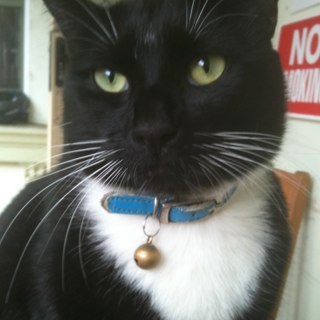 gcb1973's profile picture. Been there, done that, trying this!