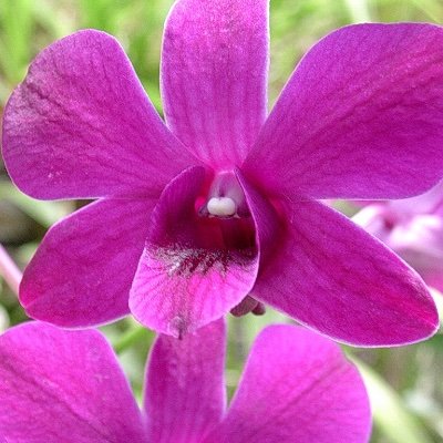 int_steve's profile picture. Beitrag mit MEHRWERT bekommt LIKE / RETWEET
Um Faktor 10x unterdrückt nach Kritik an Musk, Trump, China, Russland
– vielseitig interessiert & konstruktiv