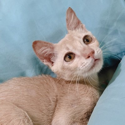 johannamonn's profile picture. 