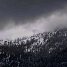 0brown33n's profile picture. Im just a 20 year old trying to find a place in this world