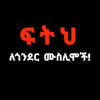 Ahmed Ali (@ahmedali029) 's Twitter Profile