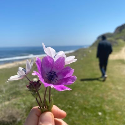 elifadige's profile picture. Plandemi Karşıtı