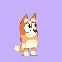 electra.exe (@0xyin) 's Twitter Profile