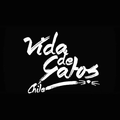 VIDA DE GATOS CHILE
