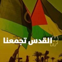 zoolibya (@zoolibya) 's Twitter Profile