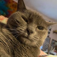 Mikkellarry (@mikkellarry) 's Twitter Profile