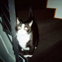 Gabriel Hess - @GabrielHess17 - Twitter