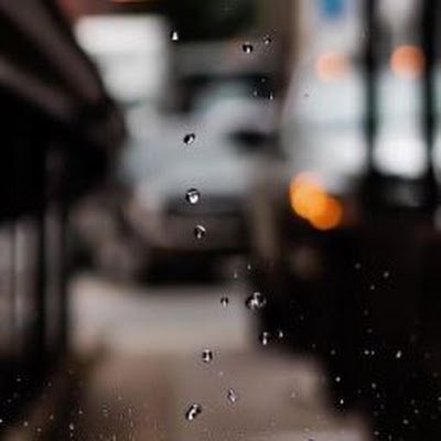 dpavliuk14's profile picture. 