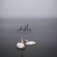 ياسر ناجي (@mnrobdacf3yonmu) 's Twitter Profile