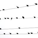 Marc Perron - @PerronMarc - Twitter