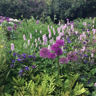 RuthMoth's profile picture. archivist and aspiring MG author